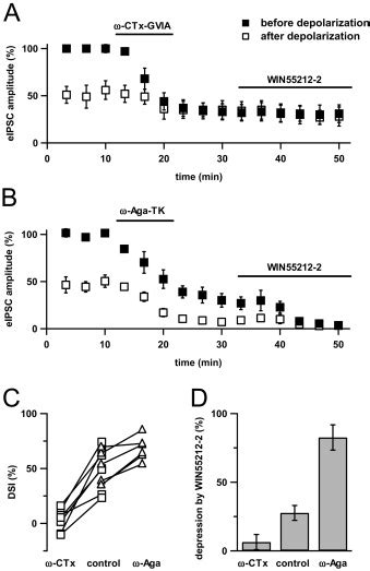 Presynaptic Specificity Of Endocannabinoid Signaling In The Hippocampus