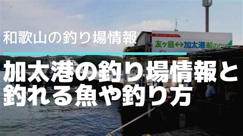 【和歌山】「加太港」の釣り場情報と釣れる魚や釣り方・ポイントをご紹介 タビカツリブログ