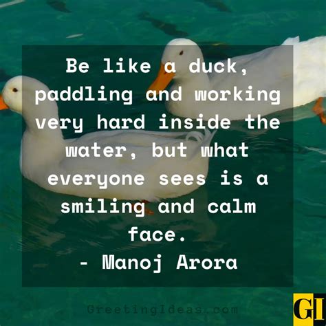 Duck Quotes Greeting Ideas 1 Duck Quotes Funny Duck Quotes Rubber