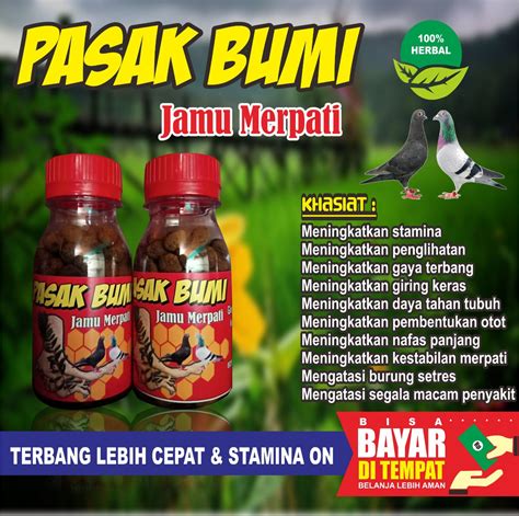 Jamu Merpati Pasak Bumi Butir Doping Burung Merpati Pil Edan