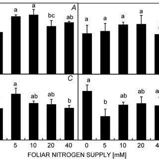 Effects Of Foliar Nitrogen Supply On Net Photosynthetic Rate PN A