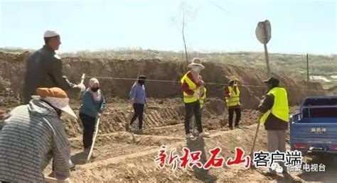 积石山县春季植树造林再掀高潮腾讯新闻