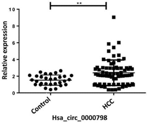 Hsa Circrna