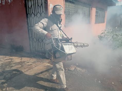 El Dengue Azota Con Casos En Todo El Pa S Panorama Econ Mico Panam