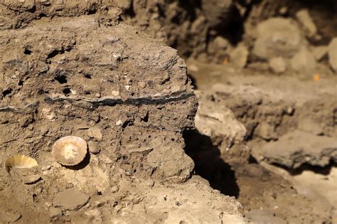 Los Primeros Pobladores De Canarias Habitaron La Cueva De El Tendal