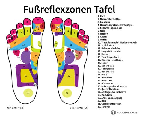 Fußreflexzonen Karte Punkte Und Wirkung Erklärt Full Balance