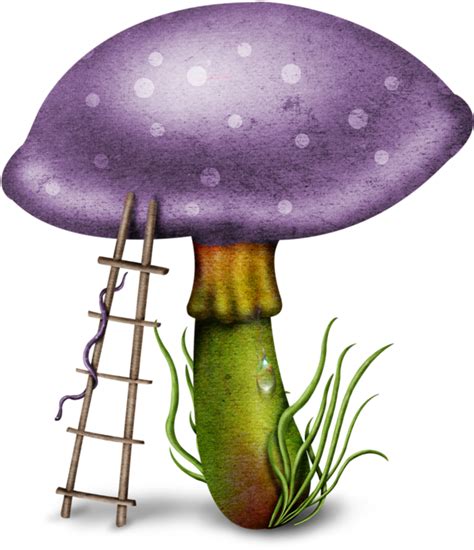 Download Mushroom - Fairy Garden Transparent Background Clipart ...