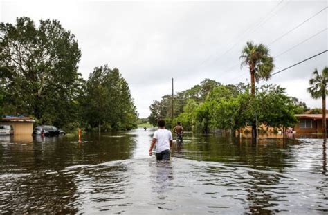 Armed With New Law Florida Utility Wants Irma Lawsuit Tossed Orlando Sentinel