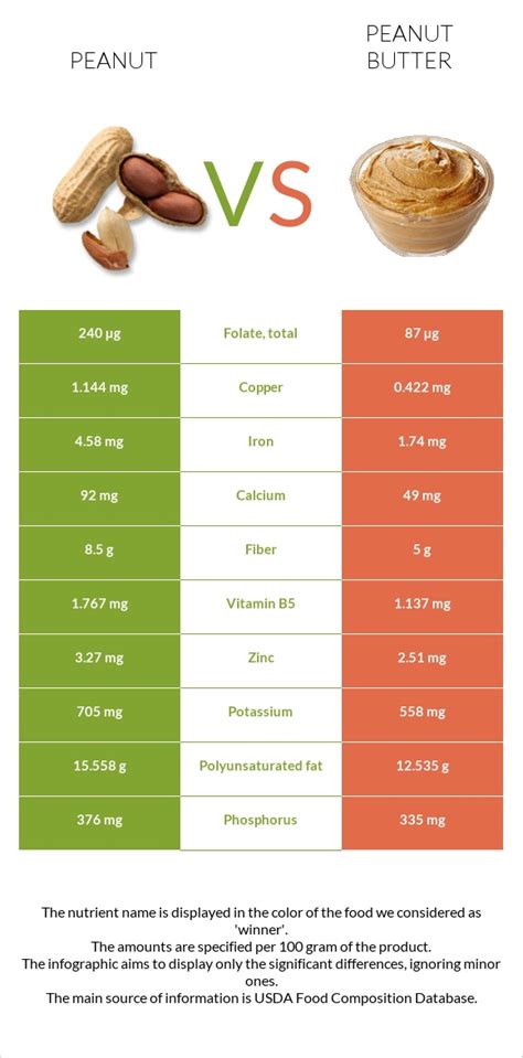 Peanut Vs Peanut Butter — In Depth Nutrition Comparison