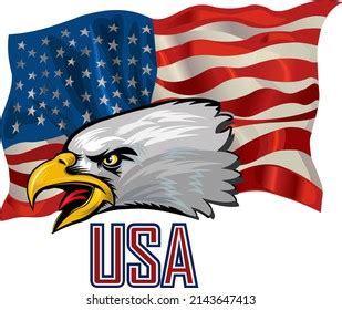 Vector Illustation American Eagle Against Usa Stock Vector Royalty