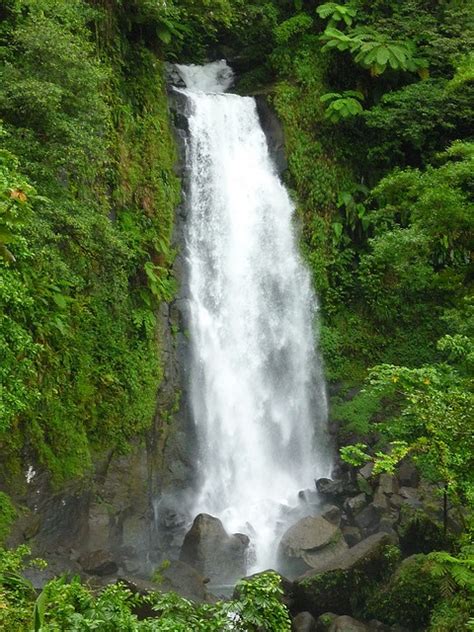 Trafalgar Falls, Dominica | Places to go, Beautiful waterfalls, Holiday ...