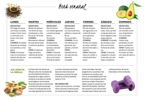 Dieta Semanal Para Ganar Masa Muscular 0a51a120 Pdf Ciclo Menstrual Estrógeno