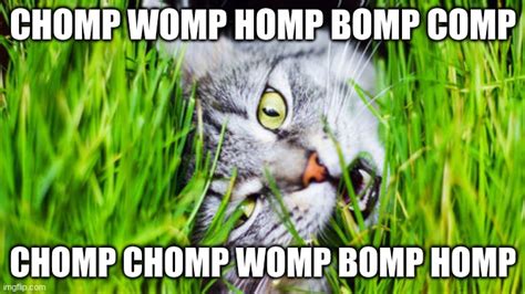 Chomp Chomp The Cat Goes Imgflip