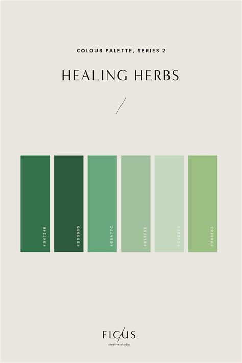 Healing Herbs Colour Palette! | Brand color palette, Color design ...