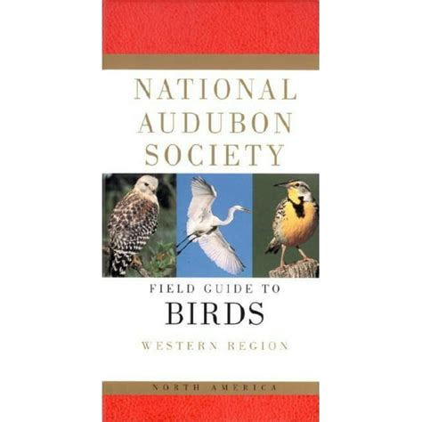 Audubon Field Guide National Audubon Society Field Guide To North