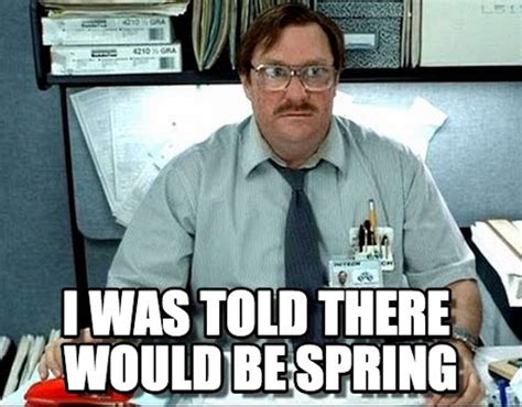 15 Funny Spring Memes To Get You Through These Chilly "Spring" Days