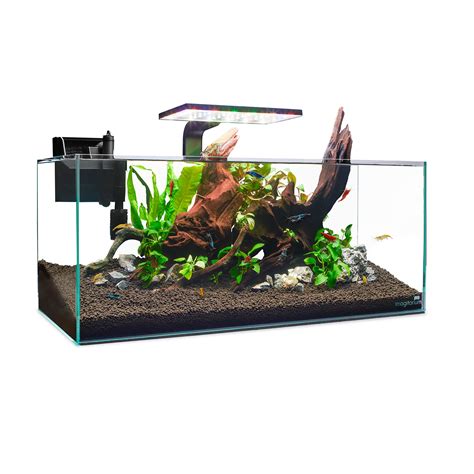 Imagitarium Shallow Glass Shrimp Aquatic Plants Aquarium Gallons