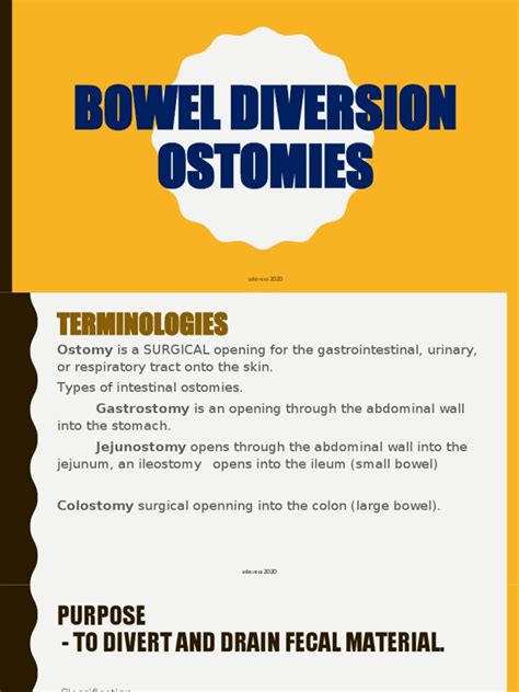 Bowel Diversion Ostomies Pdf Gastrointestinal Tract Large Intestine