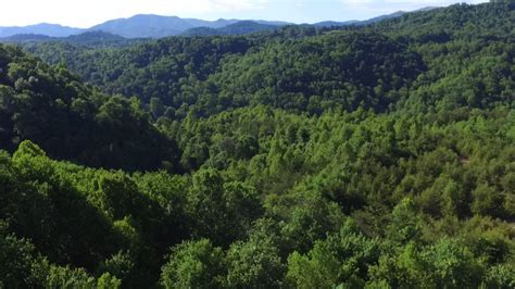 Chestnut Mountain - Southern Appalachian Highlands Conservancy