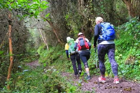 Waman Adventures Lares Trek Y Camino Inca Corto D N Waman Adventures