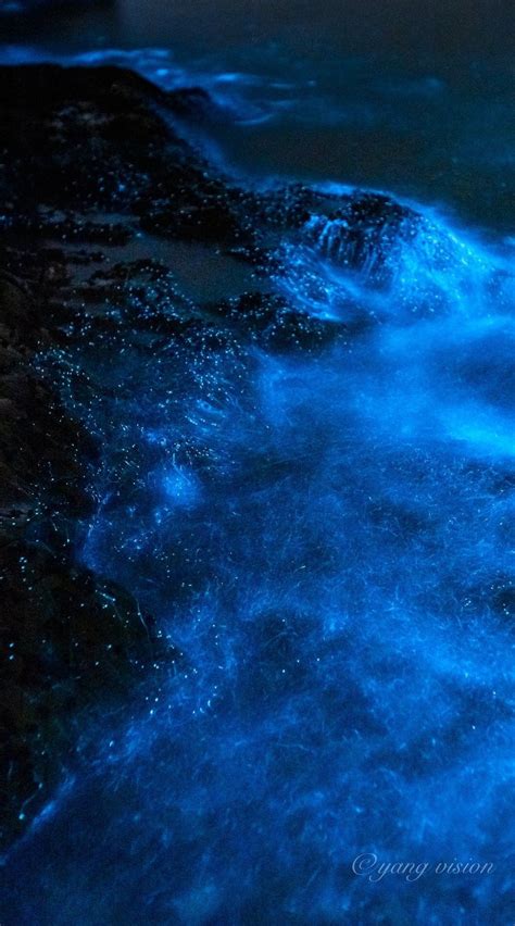 Bioluminescence Sea Sparkles Light Tassie Waters Artofit