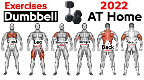 Full Body Home Dumbbell Workout Squats Chest Triceps Biceps Back