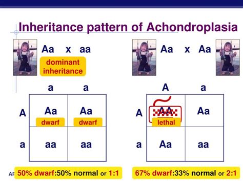 Ppt Beyond Mendels Laws Of Inheritance Powerpoint Presentation Id