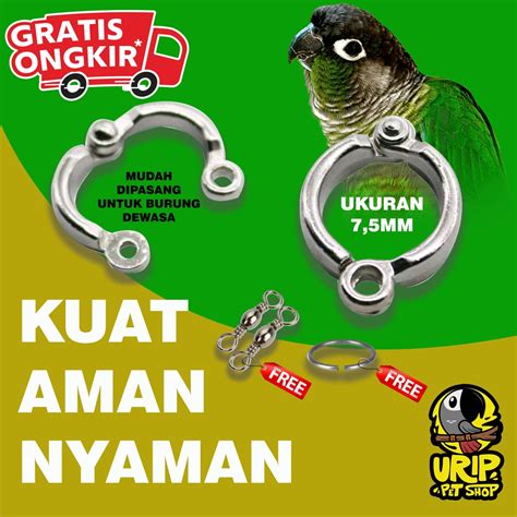 Jual RING KAKI BURUNG BERBAGAI UKURAN 5 5mm 6 5mm 7 5mm 9 5mm