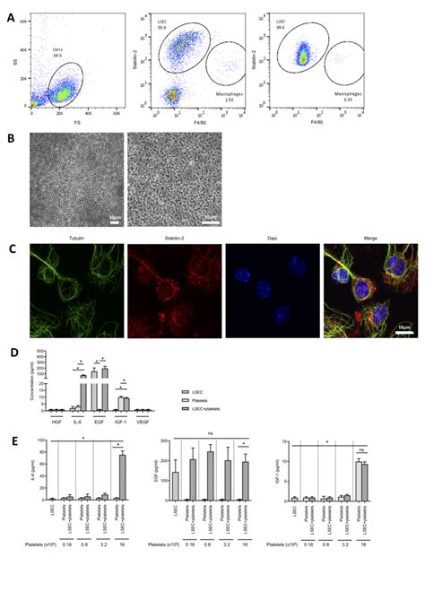 Platelets Stimulate Liver Sinusoidal Endothelial Cells Lsecs To