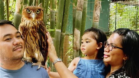 Zoobic Safari Tiger Safari Lion Encounter Croco Loco Bird Walk