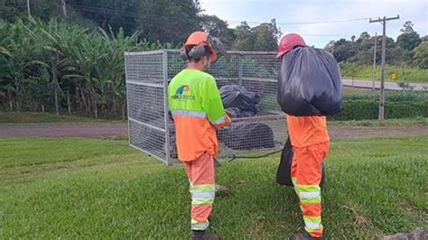 Renovias Intensifica Cronograma De Limpeza Para Evitar Prolifera O Do