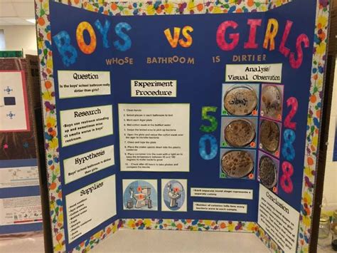 Best Science Fair Projects For 8th Grade