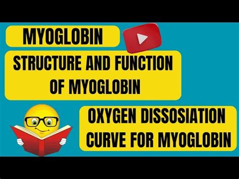 Myoglobin Structure And Function Of Myoglobin Oxygen Dissosiation