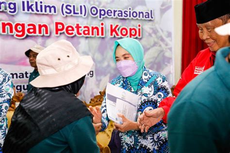 Sekolah Lapang Iklim Operasional Digelar Bmkg Ajak Petani Kopi Di