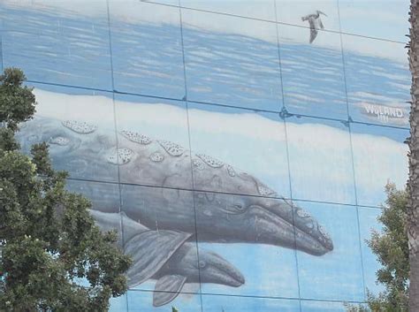 Paideia Wyland S Whaling Wall 31