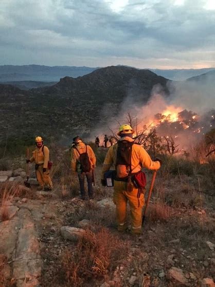 La Jornada Afectadas Más De 45 Mil Hectáreas Por Incendios Forestales