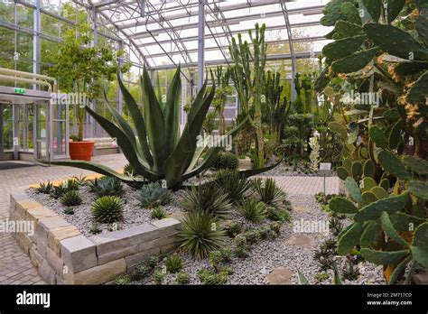 Glass Plant House In The Villa Gardens By The Lake Spa Garden Cacti