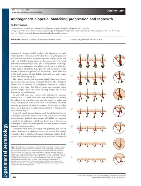 (PDF) Androgenetic Alopecia. Modelling Progression and regrowth