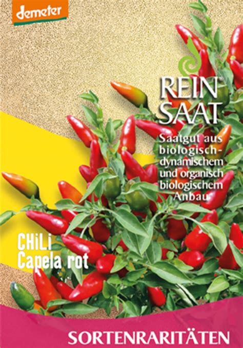 Capela Rot BIO Chili Samenfestes Saatgut 3 40 ReinSaat