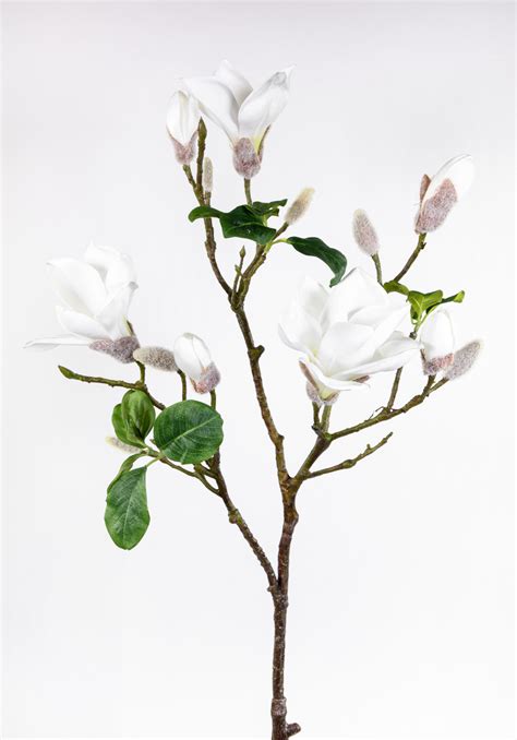 Magnolienzweig Magnolienast 98cm weiß GA Kunstblumen künstliche