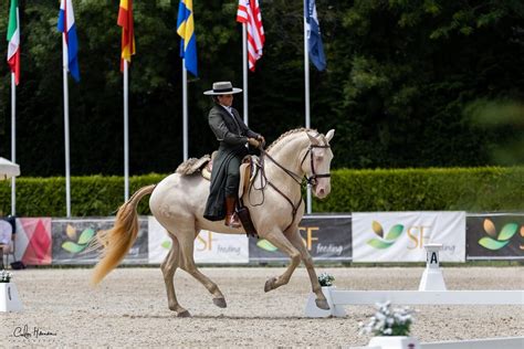 Feira Do Cavalo De Ponte De Lima Recebe O Campeonato Do Mundo De