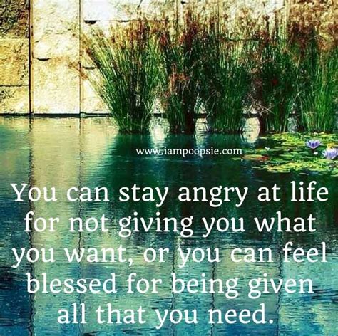 Best 25+ Feeling blessed quotes ideas on Pinterest | Thankful family ...