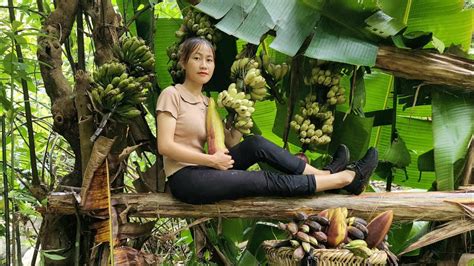 The Girl Harvested The Forest Banana Garden And Brought It To The