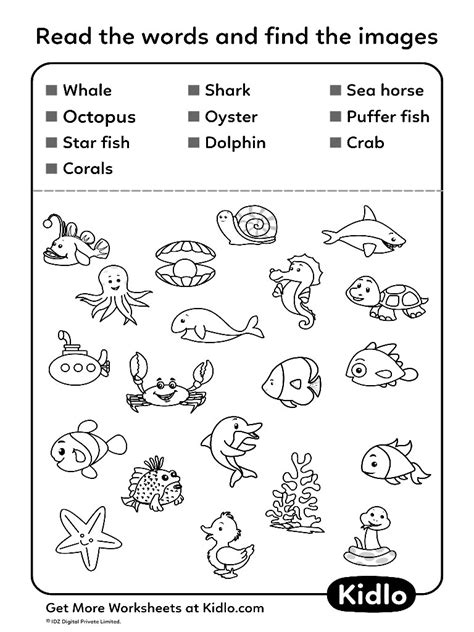 Match Words To Its Pictures Sorting Worksheet 13