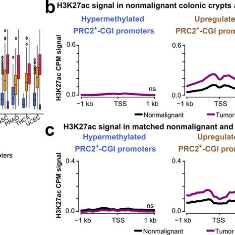 Upregulated Prc Cgi Genes Have Increased Promoter H K Ac Levels And