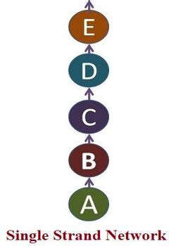 single strand network  business communication assignment point