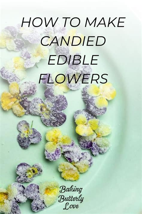 How To Make Candied Edible Flowers Baking Butterly Love Edible