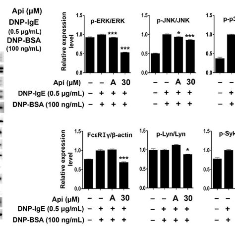 Effects Of Apigenin On The Expression Of Cytokines A And