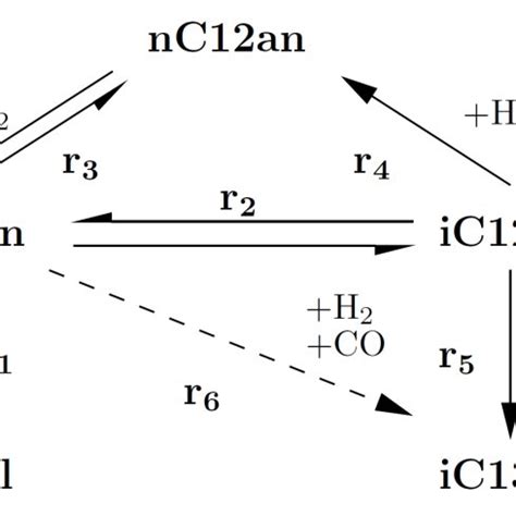 Hydroformylation reaction network. | Download Scientific Diagram