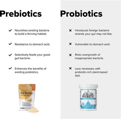 Prebiotics vs. Probiotics - Complement